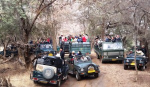 Kanha National Park