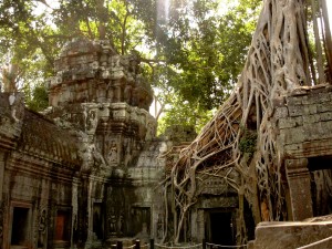 Things to do in Cambodia