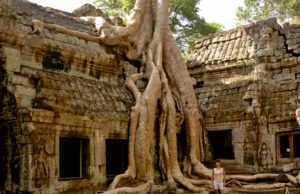 Things to do in Cambodia