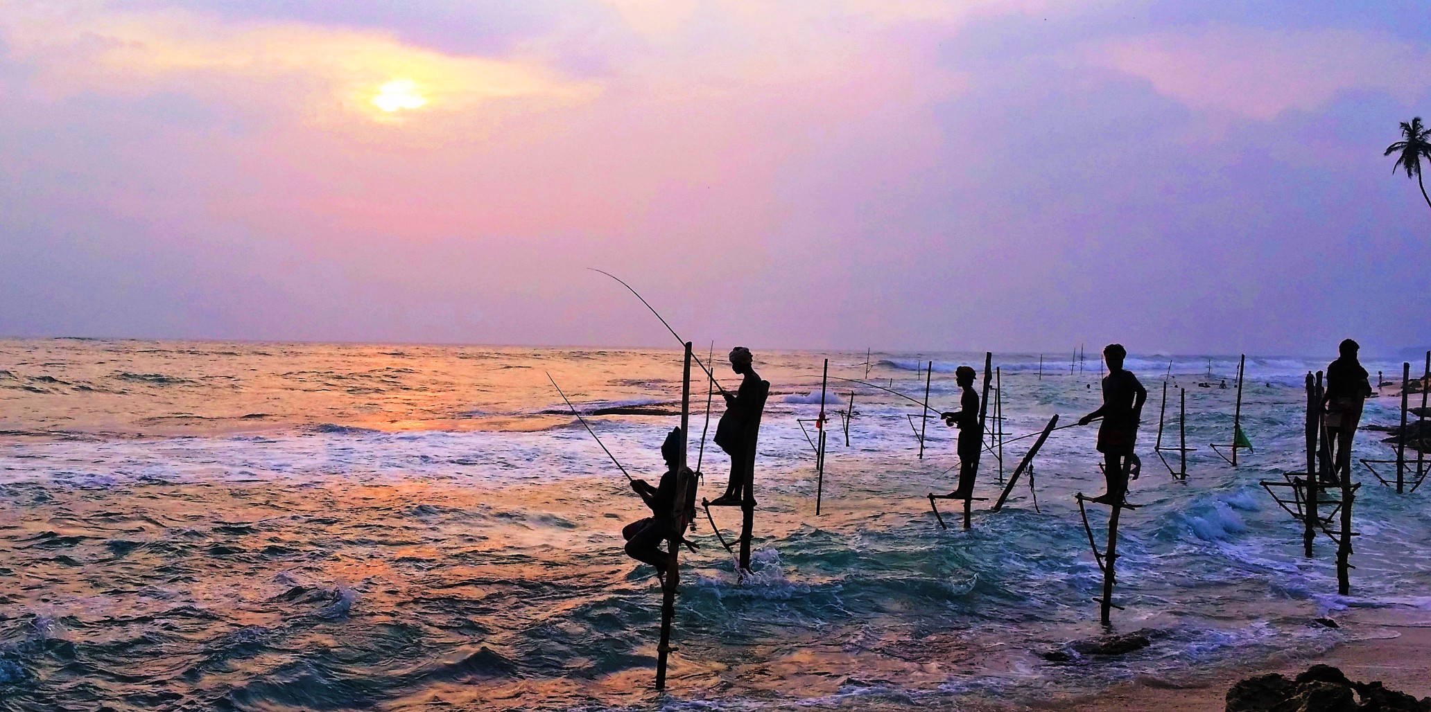 Stilt Fishermen Of Kogalla SriLanka