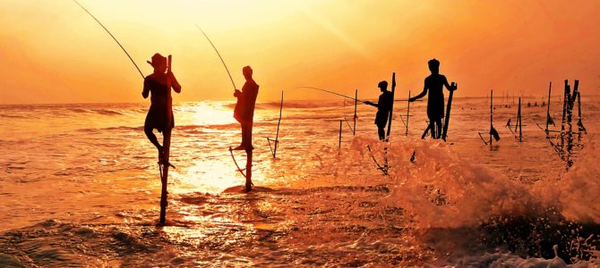 Stilt Fishermen Of Kogalla Srilanka