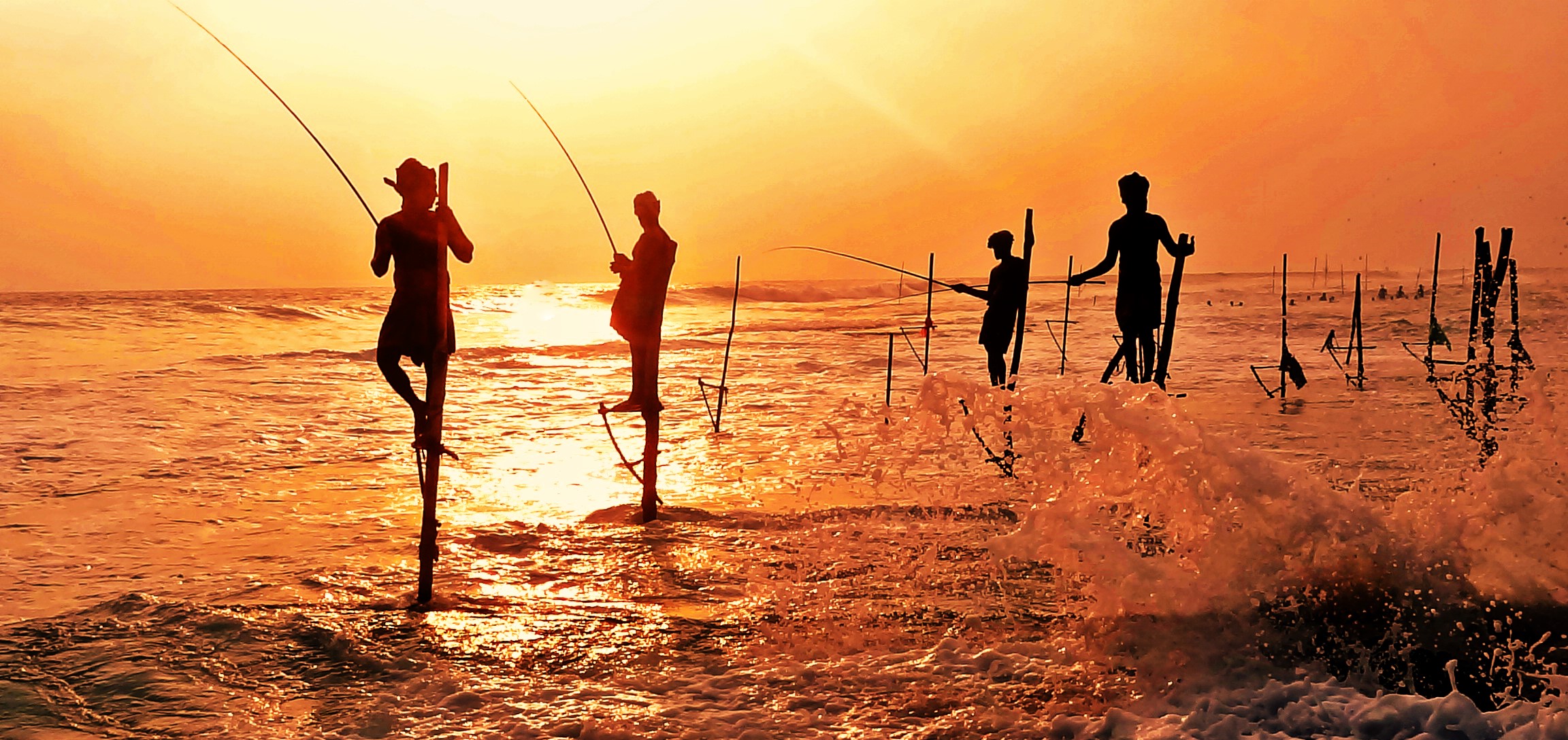 Stilt Fishermen Of Kogalla Srilanka