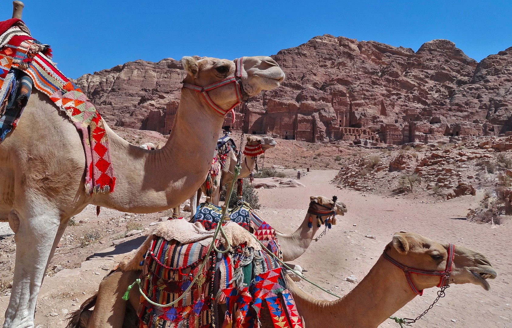 10 MUST Things to Know Before Jordan Travel